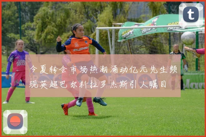 今夏转会市场热潮涌动亿元先生频现英超巴尔科拉罗杰斯引人瞩目